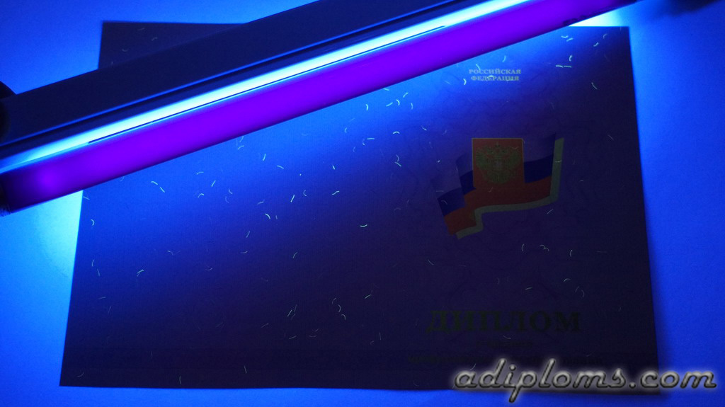 Диплом техникума, колледжа 2011-2013 Фото Диплом техникума, колледжа 2011-2013 Фото